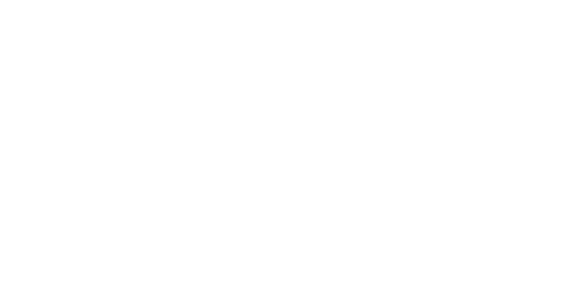 logo-fein