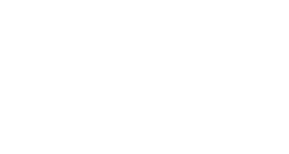 logo-fein